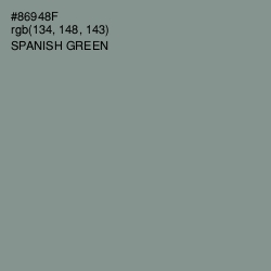 #86948F - Spanish Green Color Image